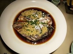 -绿茶餐厅(广州天河城店)