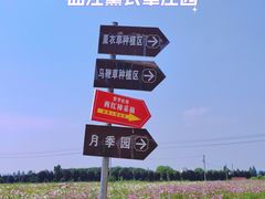 -曲江薰衣草庄园
