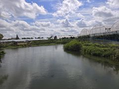 -马陆小张葡萄园农家乐