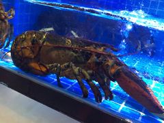 水产区-鸽子侯·家宴·平价海鲜(市图书馆店)