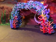 -青岛嘉年华主题乐园