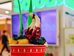 -Salud撒露欧洲冻酸奶(五道口购物中心店)