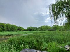 -北坞公园