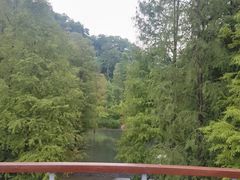-云溪植物园