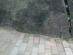 -火炉山森林公园
