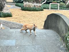-墨池公园