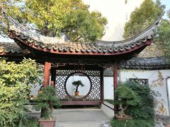 -上海醉白池公园
