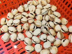 -巽寮印象美食部落餐厅·海鲜·地方特色菜(惠州体验店)