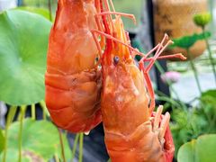 -水岸居湖景农家乐·阳澄湖大闸蟹