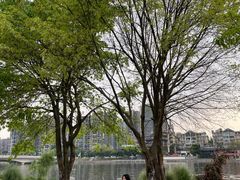 -眉山湿地公园(东坡区)