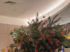-老吉堂上海本帮菜(望京万象汇店)