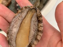 鲍鱼-羊栏农贸市场(羊新路店)
