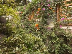 -福州市仓山小学