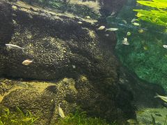 -江和美海洋公园