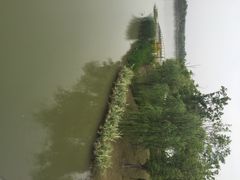 iphone_upload_pic-南翔镇银翔湖公园