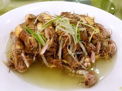 盐水濑尿虾-广胜通达海鲜食府(黄沙店)