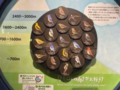 -富士山地震体验馆