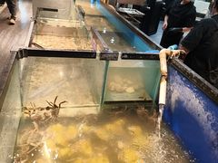 -遇上西雅图多融合海鲜自助餐厅(中房金谊广场店)