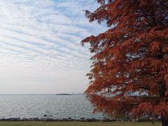 -苏州东太湖生态园