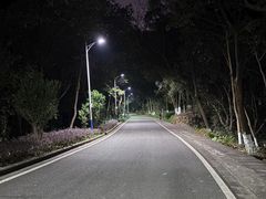 -火炉山森林公园