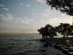 -宝安西湾红树林湿地公园