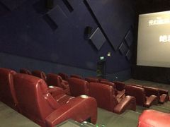 -金逸影城(大悦城IMAX激光店)