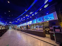 -华夏文旅海洋公园