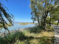 -野鸭湖国家湿地公园