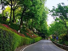 周边环境-上海市保健医疗中心(华东疗养院)