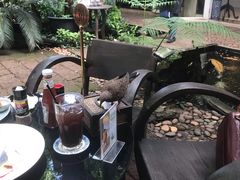 -Fern Forest Cafe