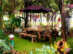 -月亮眼花园餐厅书吧酒吧