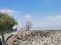 -上海吴淞炮台湾国家湿地公园