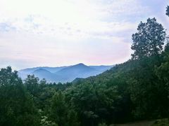 android_upload_pic-北京鹫峰国家森林公园