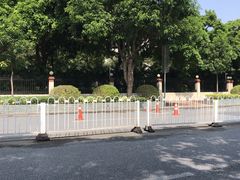 -海珠湖公园