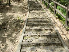 -上海佘山国家森林公园天马山园