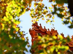 -东华门大街小区