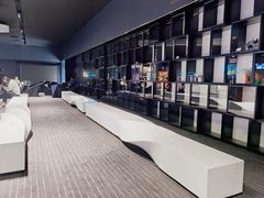 -奥斯卡升龙国际影城(RealD Cinema)