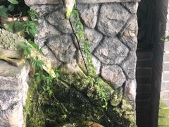 -农厨好味·温泉鹅·农家菜