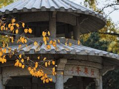 -玲珑塔公园