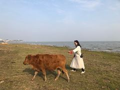 -梁子岛生态旅游区