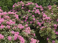 -名花谷生态庄园