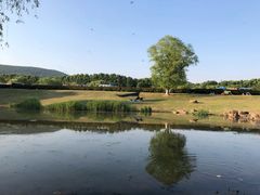 -钟山体育运动公园