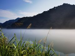 -醉美东江·三文鱼·烧鸡公