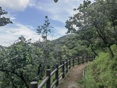 -北京西山国家森林公园