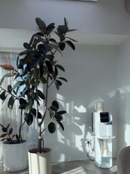 -HEYAN荷妍专业脱毛连锁机构