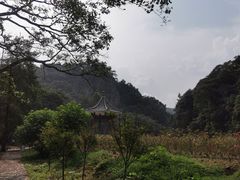 -广州市石门国家森林公园