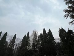 -济南南郊宾馆