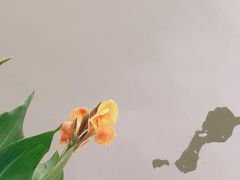 -海珠湖公园