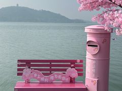 -水上明月·湖景餐厅