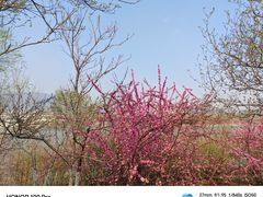 -永定河休闲森林公园